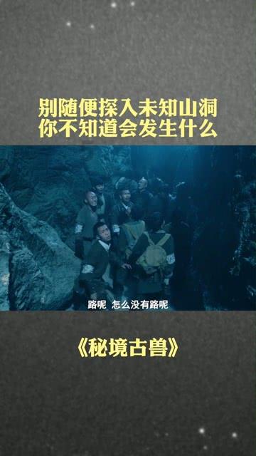3D双翼飞行