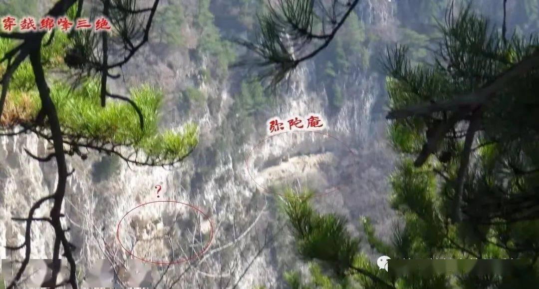 进一步推动国际货币基金组织份额改革（经济透视）