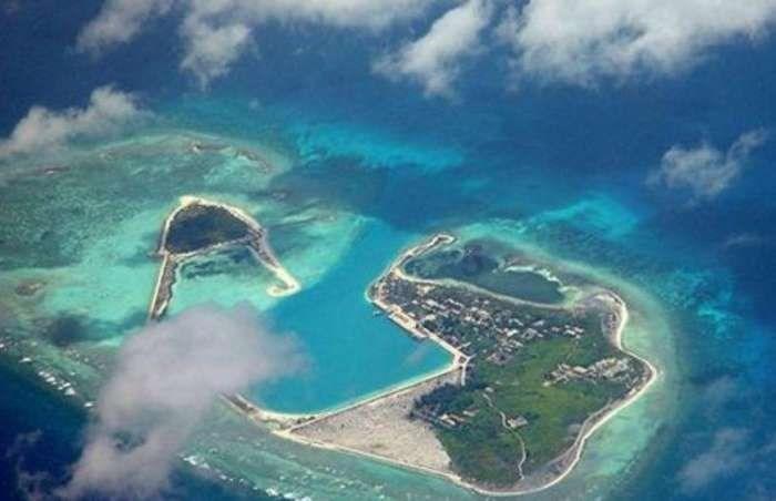 虫虫助手下载