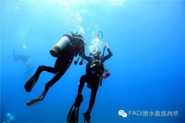 如果油价破 10 块，你还开车吗？游戏画面