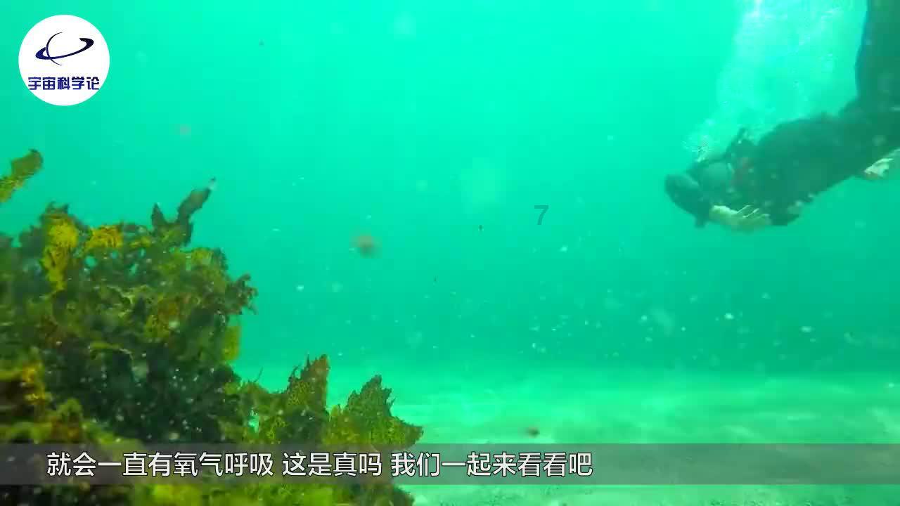 探索神秘小屋4