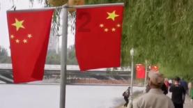 救援小蝙蝠