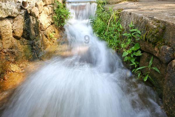 虫虫助手下载