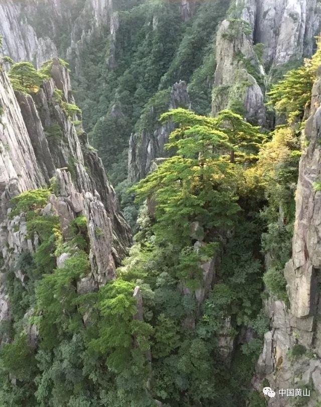 宝贝足球大作战