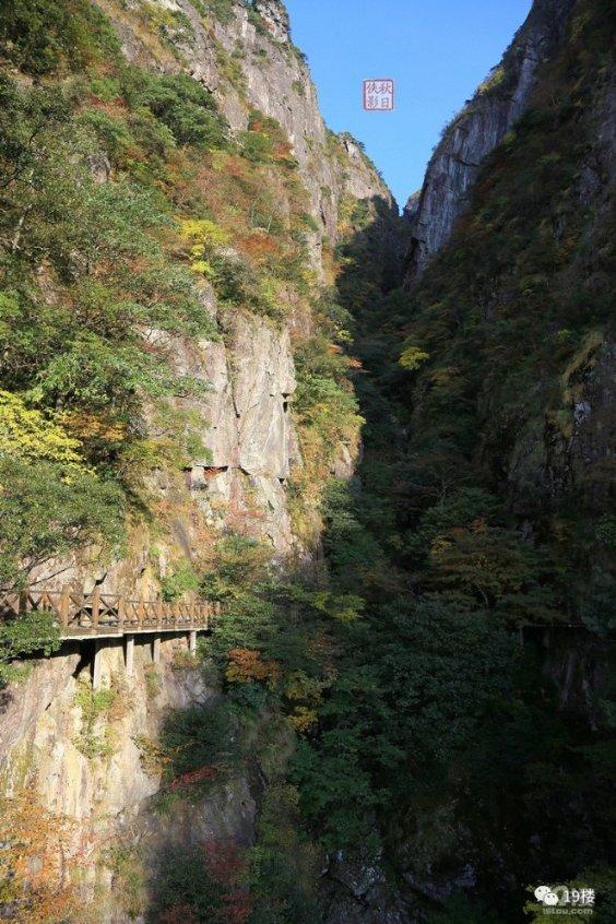 探探猫宝石岛3