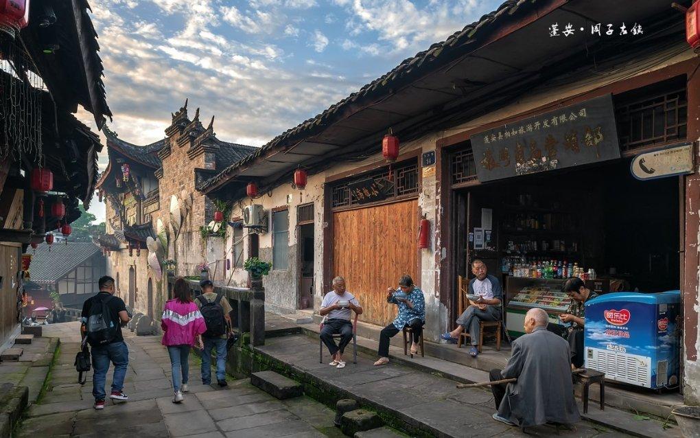 狐狸的旅程
